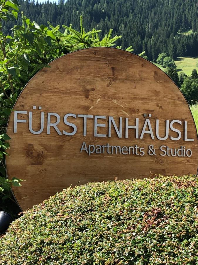 Fuerstenhaeusl アルプバッハ エクステリア 写真